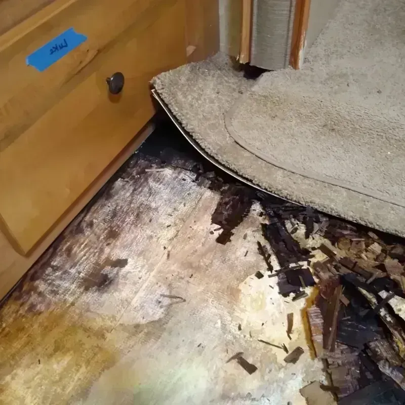 Best Wood Floor Water Damage Service in Hanover County, VA